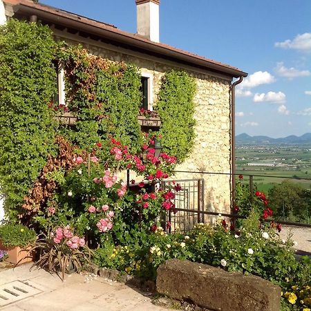 Le Mandolare Villa Villaga Esterno foto