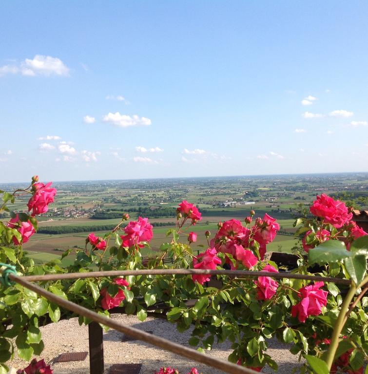 Le Mandolare Villa Villaga Esterno foto