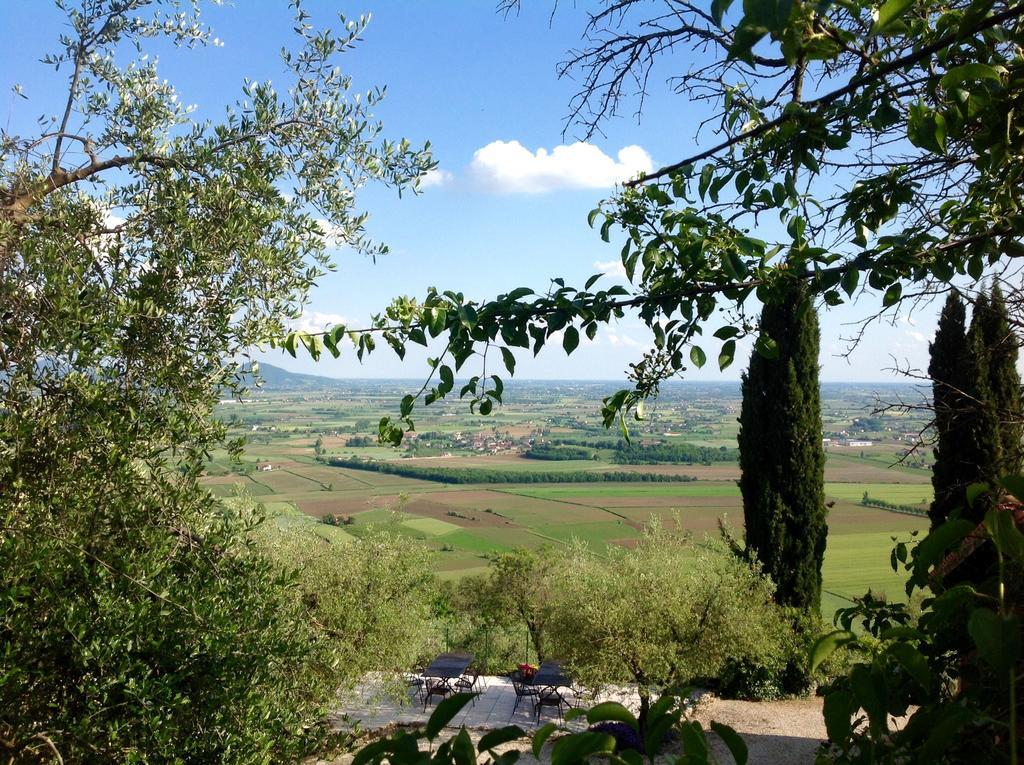 Le Mandolare Villa Villaga Esterno foto