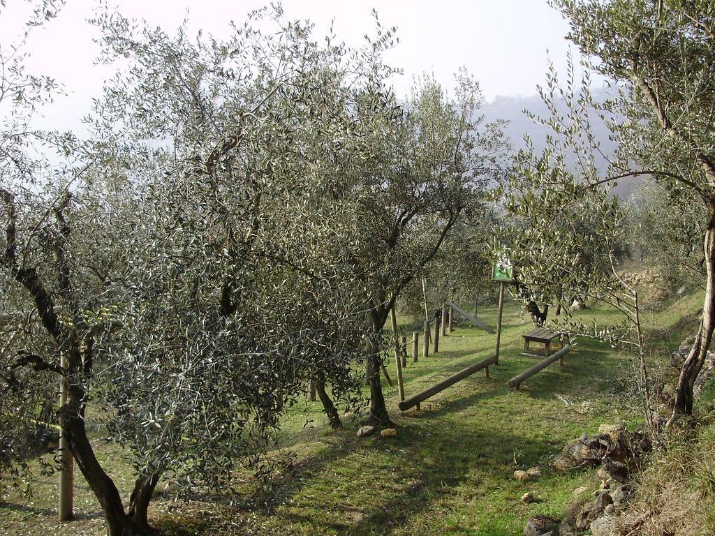 Le Mandolare Villa Villaga Esterno foto